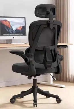 Ergonomic Office Chair Computer Desk Chairs with Flip-up Armrests