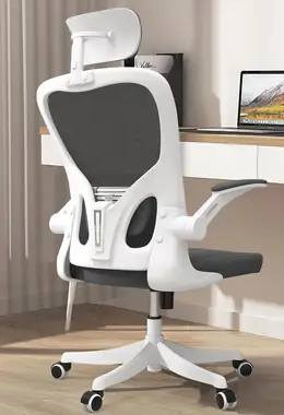Ergonomic Office Chair with Lumbar Support and 3D Headrest