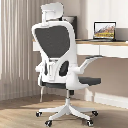 Ergonomic Office Chair with Lumbar Support and 3D Headrest